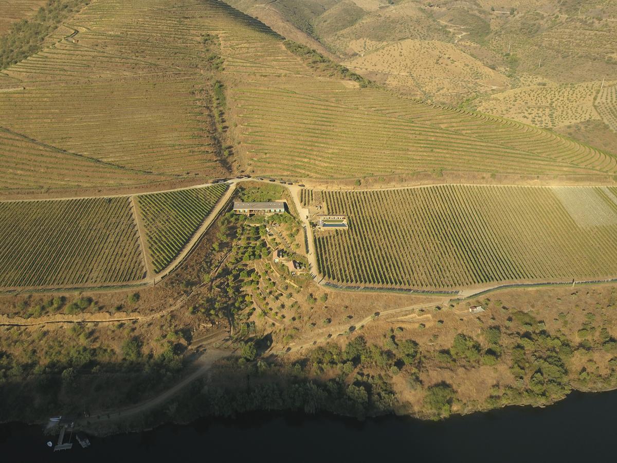 Casa Do Rio - Douro Wine Hotel By Vallado Vila Nova de Fozcoa Εξωτερικό φωτογραφία